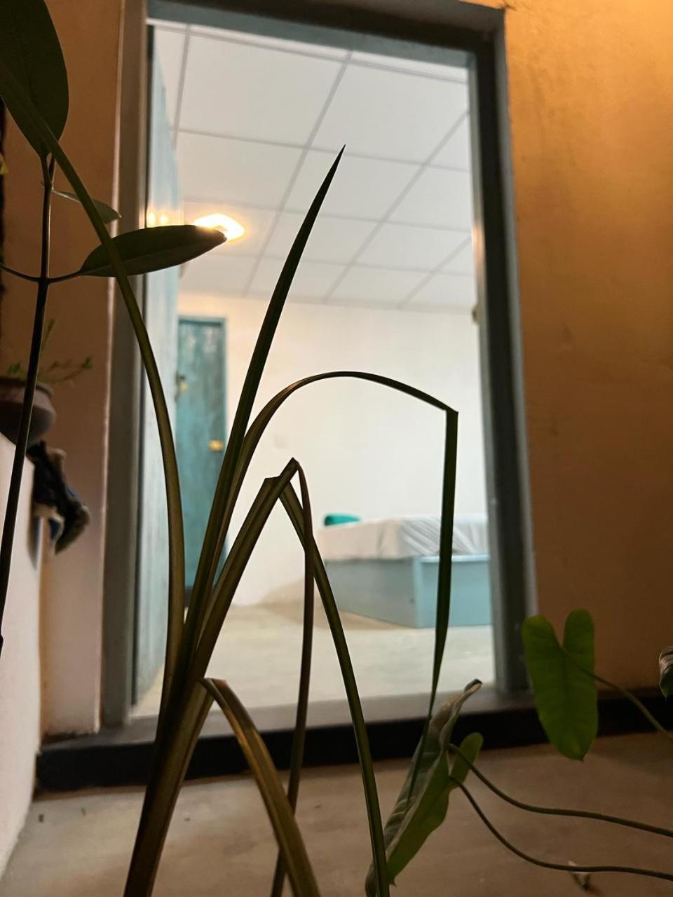 アルガムベイ Cactus Arugambayホステル エクステリア 写真