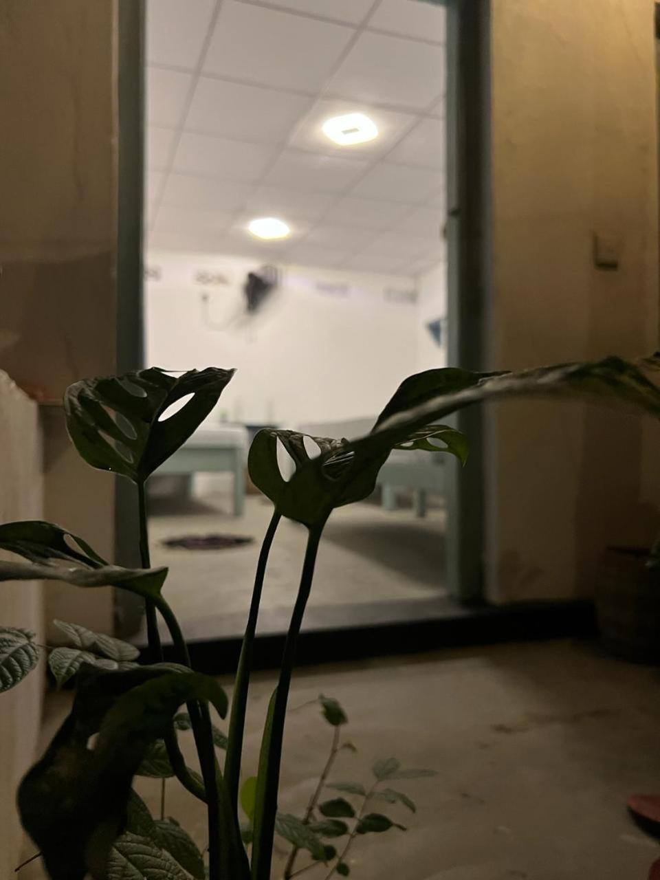 アルガムベイ Cactus Arugambayホステル エクステリア 写真