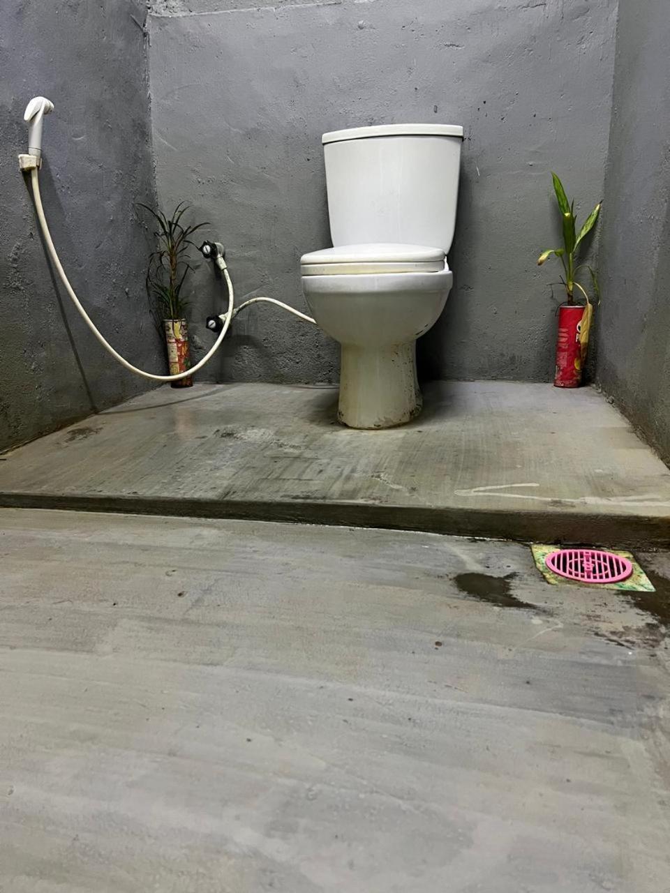 アルガムベイ Cactus Arugambayホステル エクステリア 写真