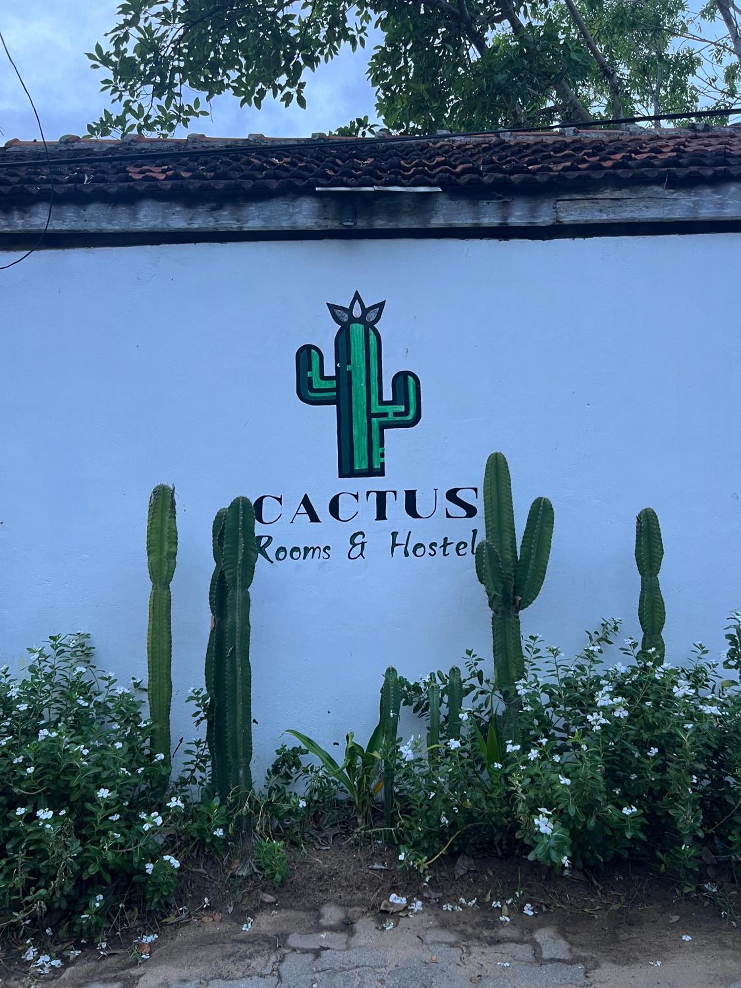 アルガムベイ Cactus Arugambayホステル エクステリア 写真